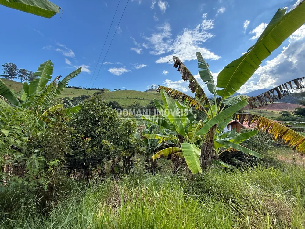 Terreno, 2585 m² - Foto 6