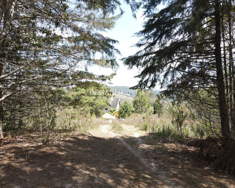 Terreno, 2850 m² - Foto 3