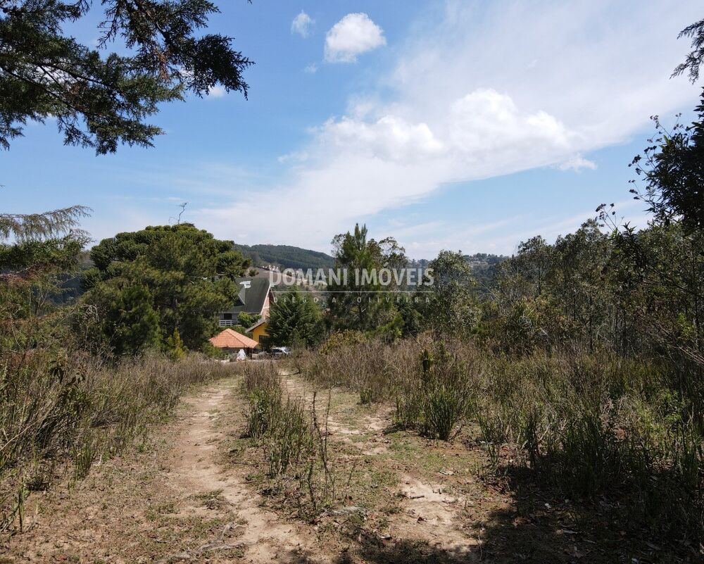 Terreno, 2850 m² - Foto 4
