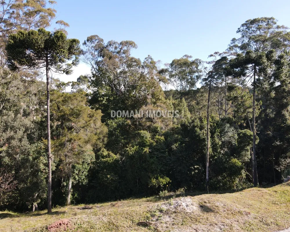 Terreno, 1040 m² - Foto 4