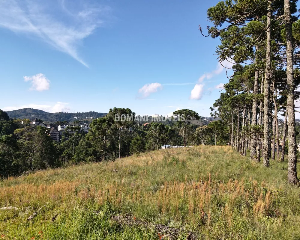 Terreno à venda, 8900m² - Foto 1