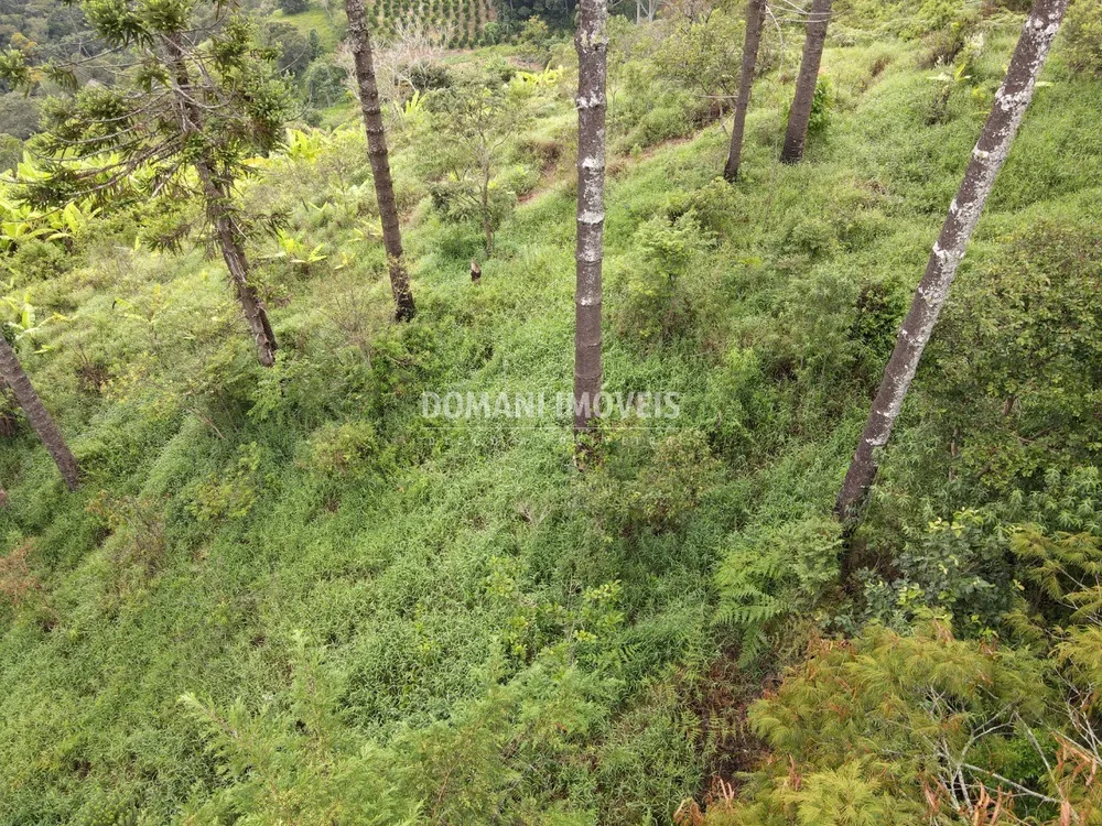 Terreno, 4100 m² - Foto 6