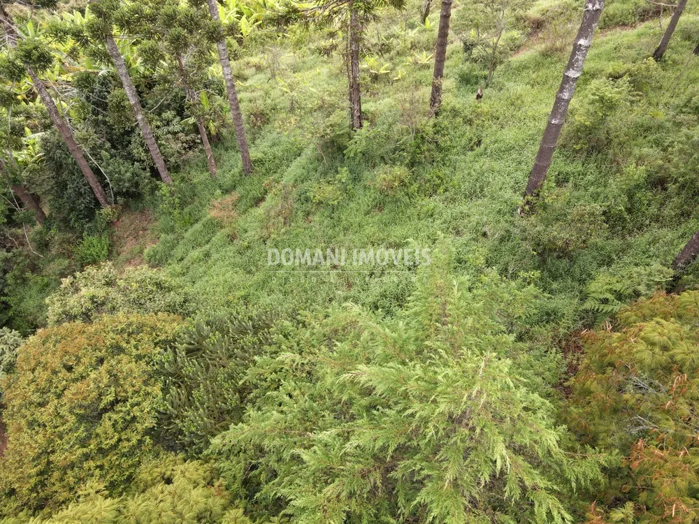 Terreno, 4100 m² - Foto 7