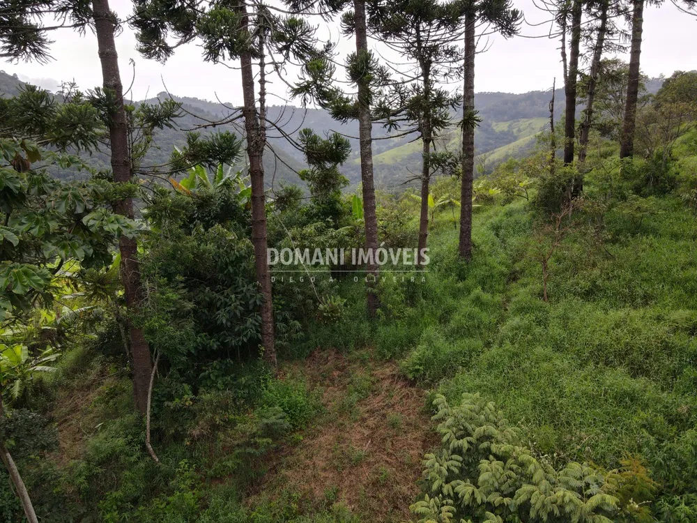 Terreno, 4100 m² - Foto 8