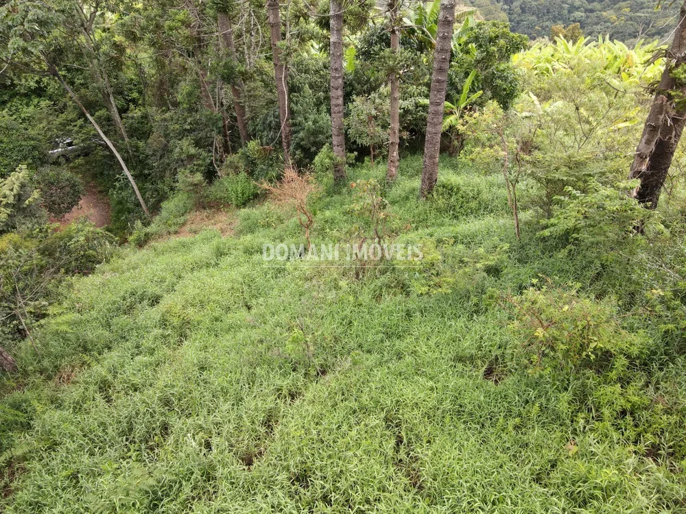 Terreno, 4100 m² - Foto 4