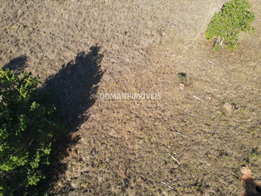 Terreno, 1100 m² - Foto 6