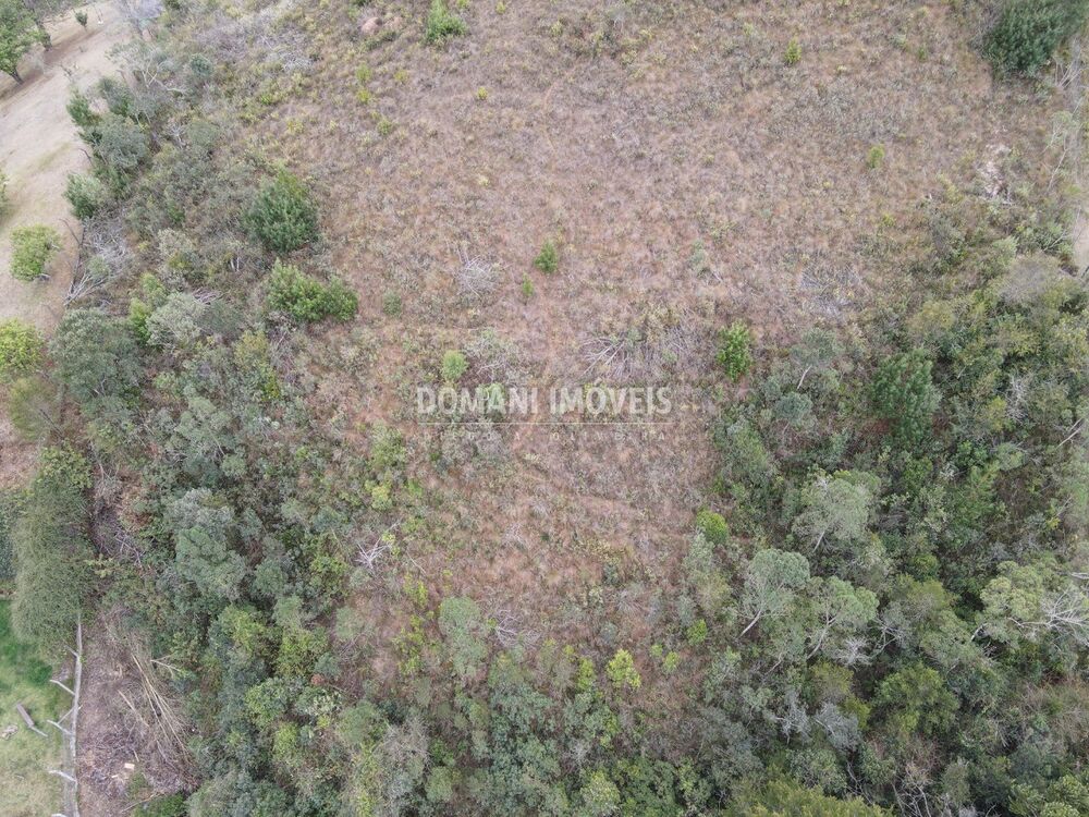 Terreno, 3690 m² - Foto 6