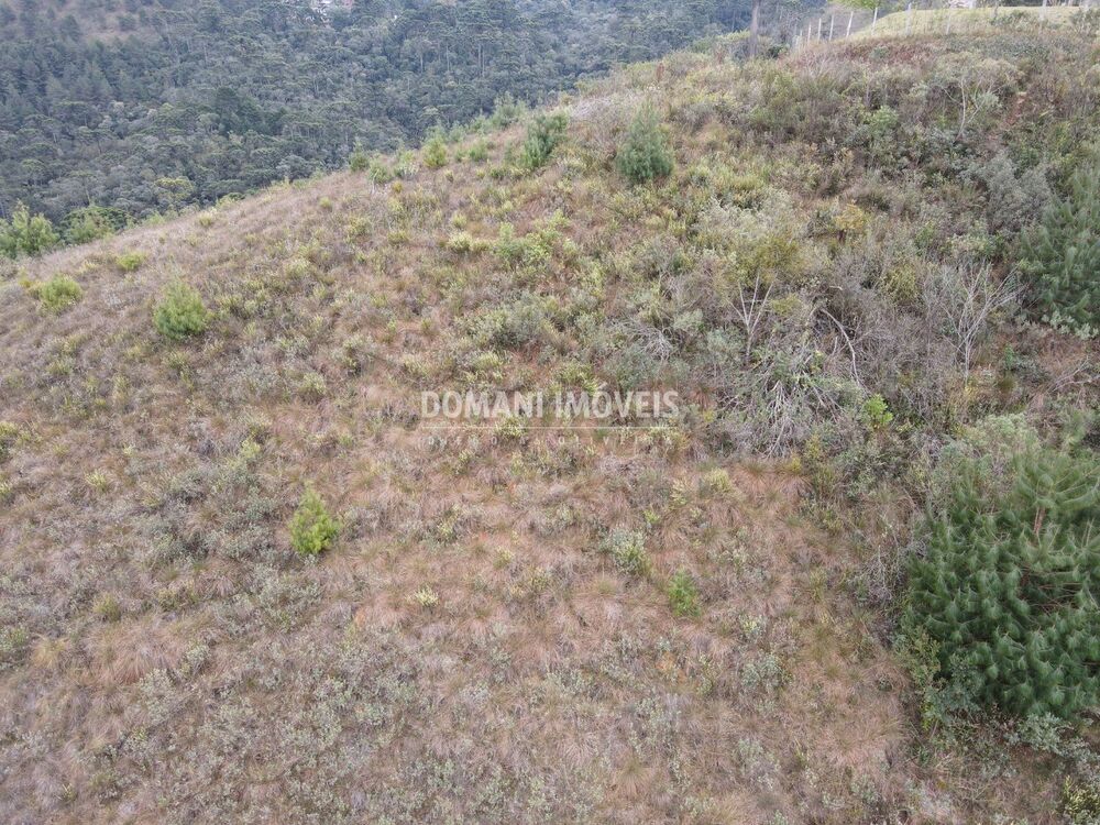 Terreno, 3690 m² - Foto 12