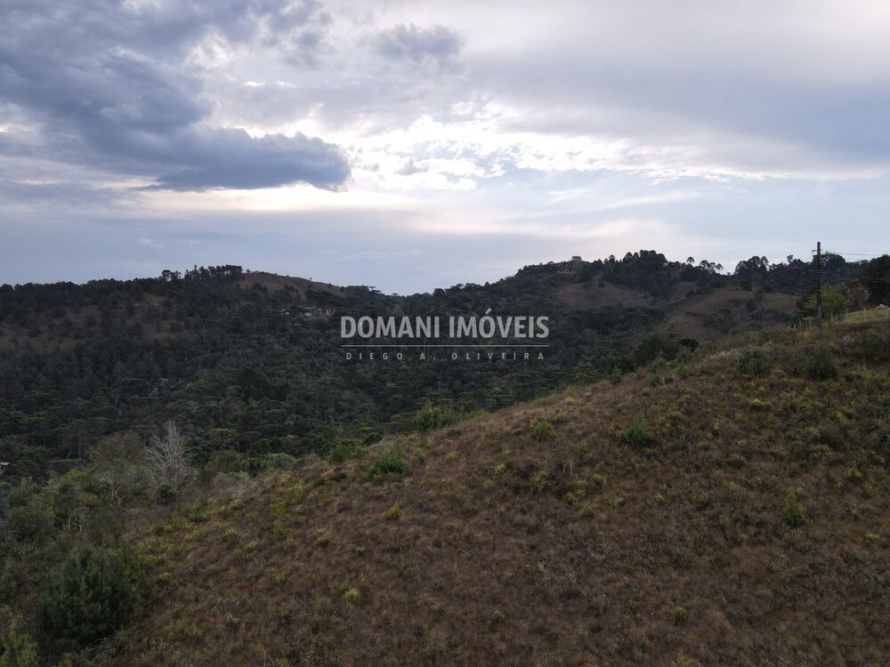 Terreno, 3690 m² - Foto 5