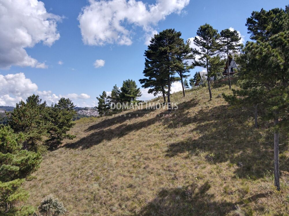 Terreno, 1600 m² - Foto 2
