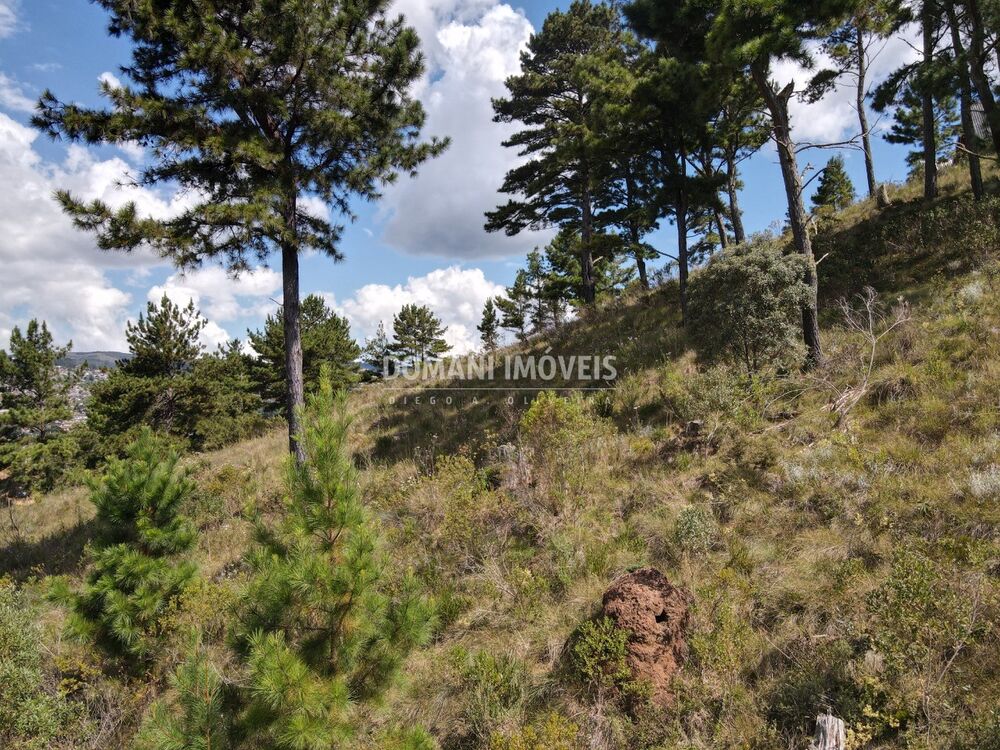 Terreno, 1600 m² - Foto 3