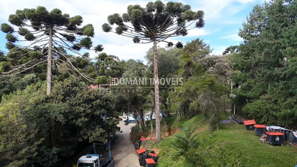 Imóvel Comercial - Foto 6