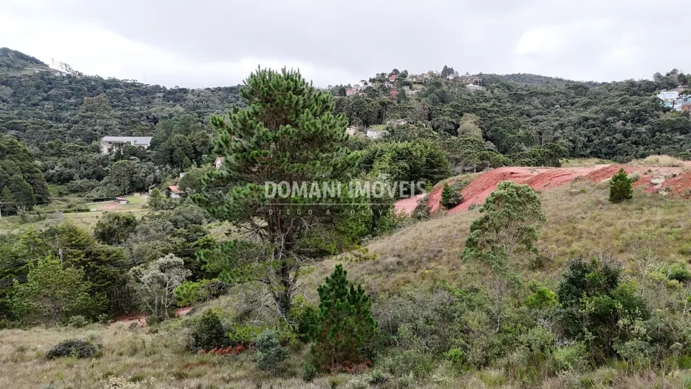 Terreno, 1650 m² - Foto 4
