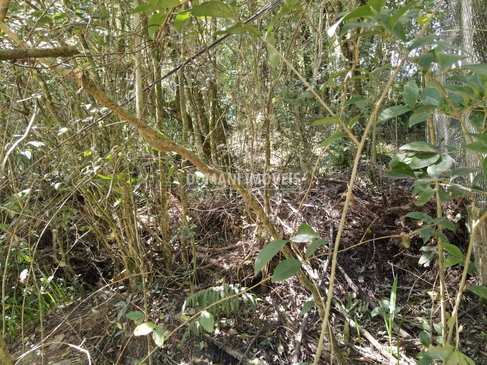 Terreno, 1040 m² - Foto 1