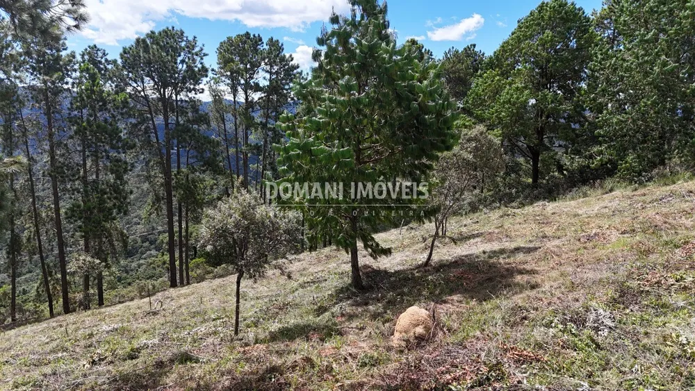 Terreno, 5290 m² - Foto 5