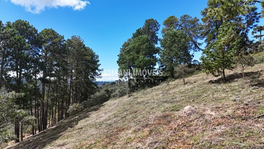 Terreno, 5290 m² - Foto 6