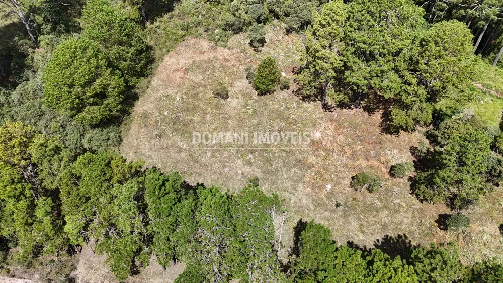 Terreno, 5290 m² - Foto 3