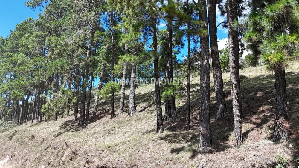 Terreno, 5290 m² - Foto 7