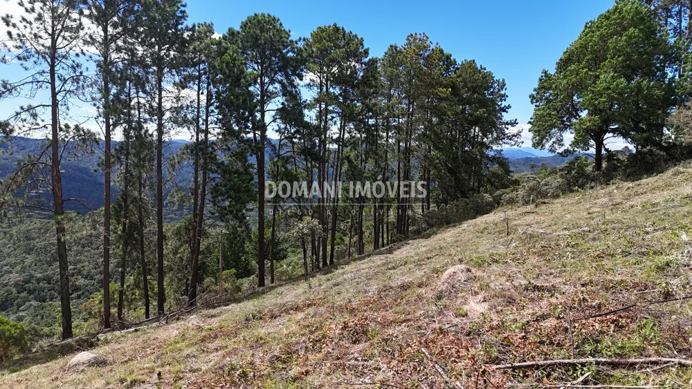 Terreno, 5290 m² - Foto 8