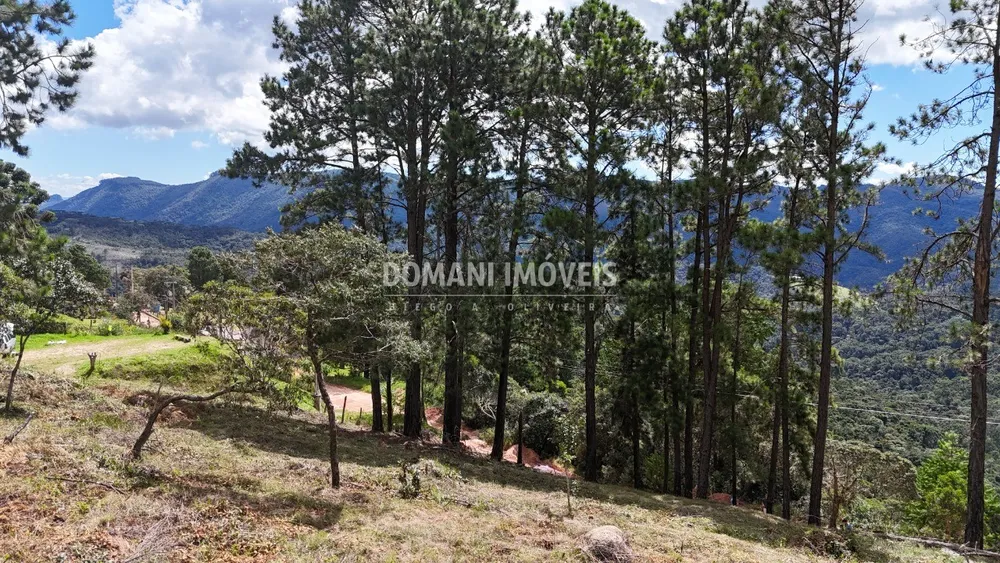 Terreno, 5290 m² - Foto 2