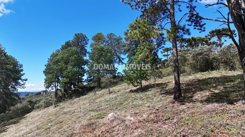 Terreno, 5290 m² - Foto 4