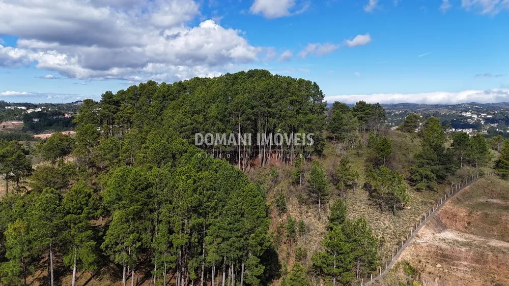 Terreno, 15050 m² - Foto 6
