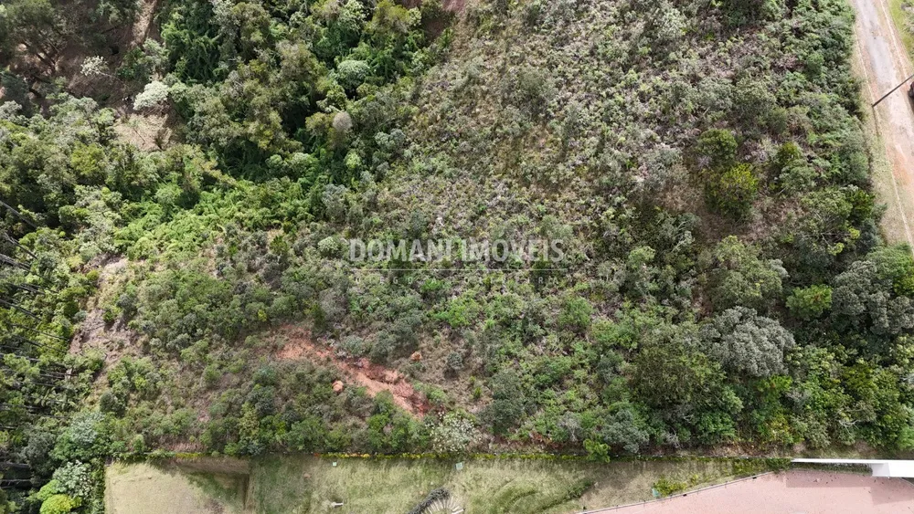 Terreno, 5230 m² - Foto 3