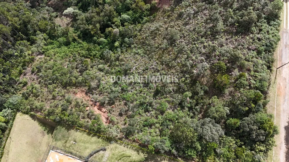 Terreno, 5230 m² - Foto 10
