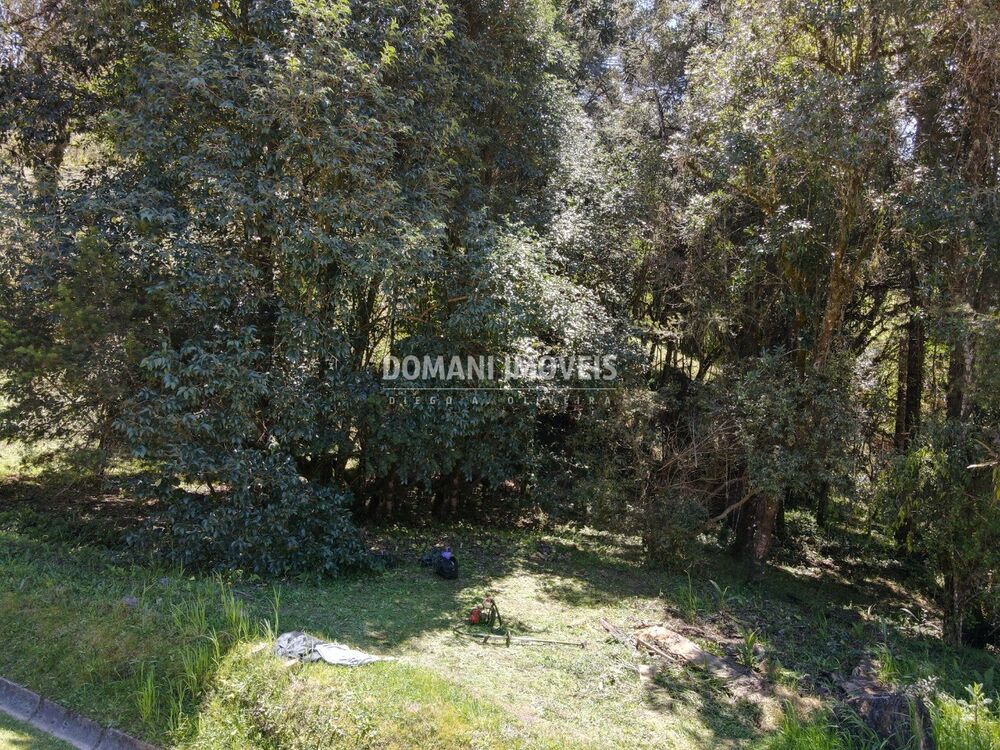 Terreno, 1530 m² - Foto 3