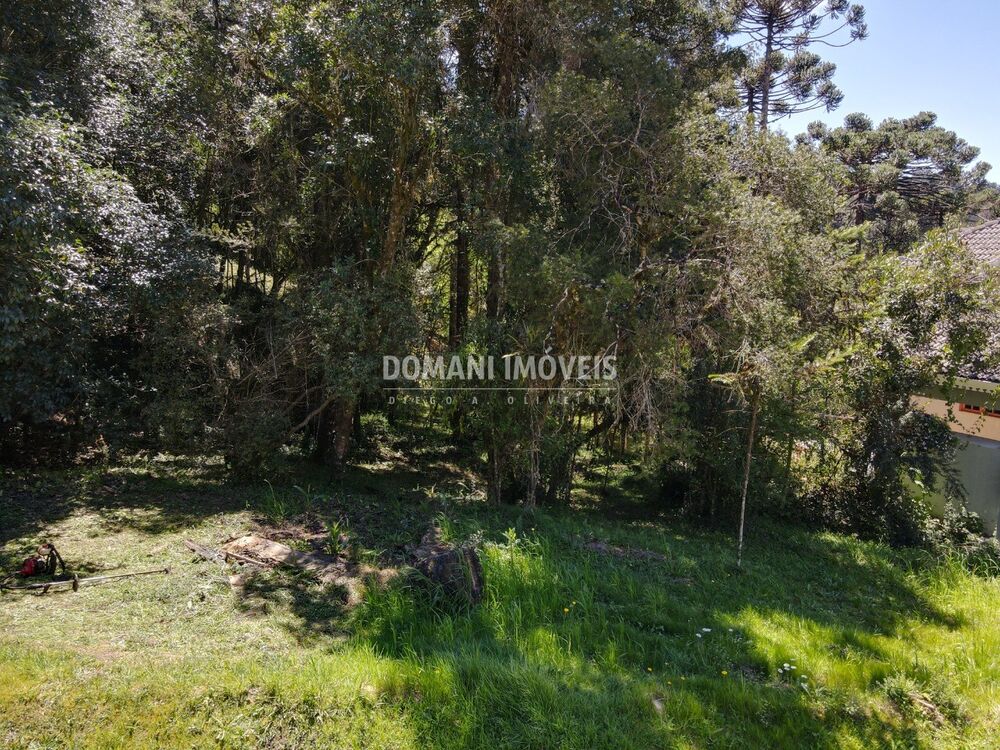 Terreno, 1530 m² - Foto 4