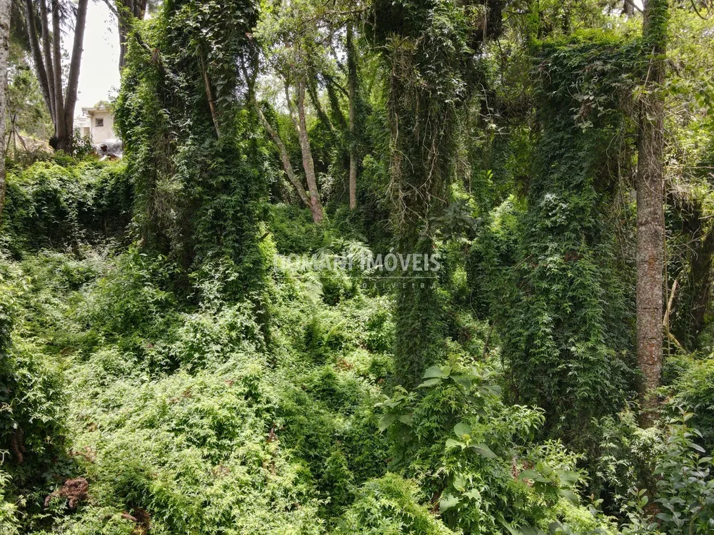 Terreno, 2130 m² - Foto 5