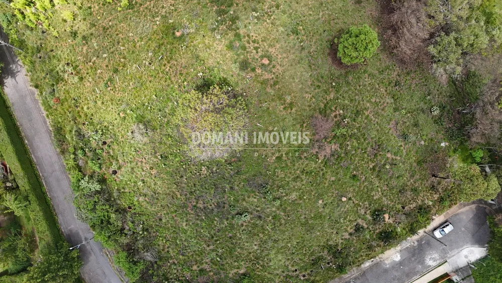 Terreno, 2795 m² - Foto 4