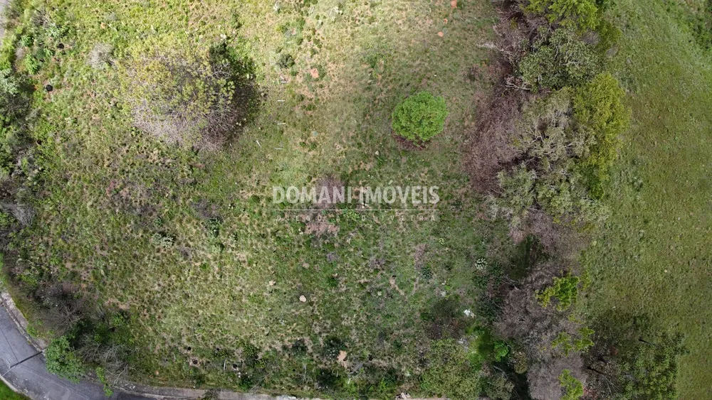 Terreno, 2795 m² - Foto 8