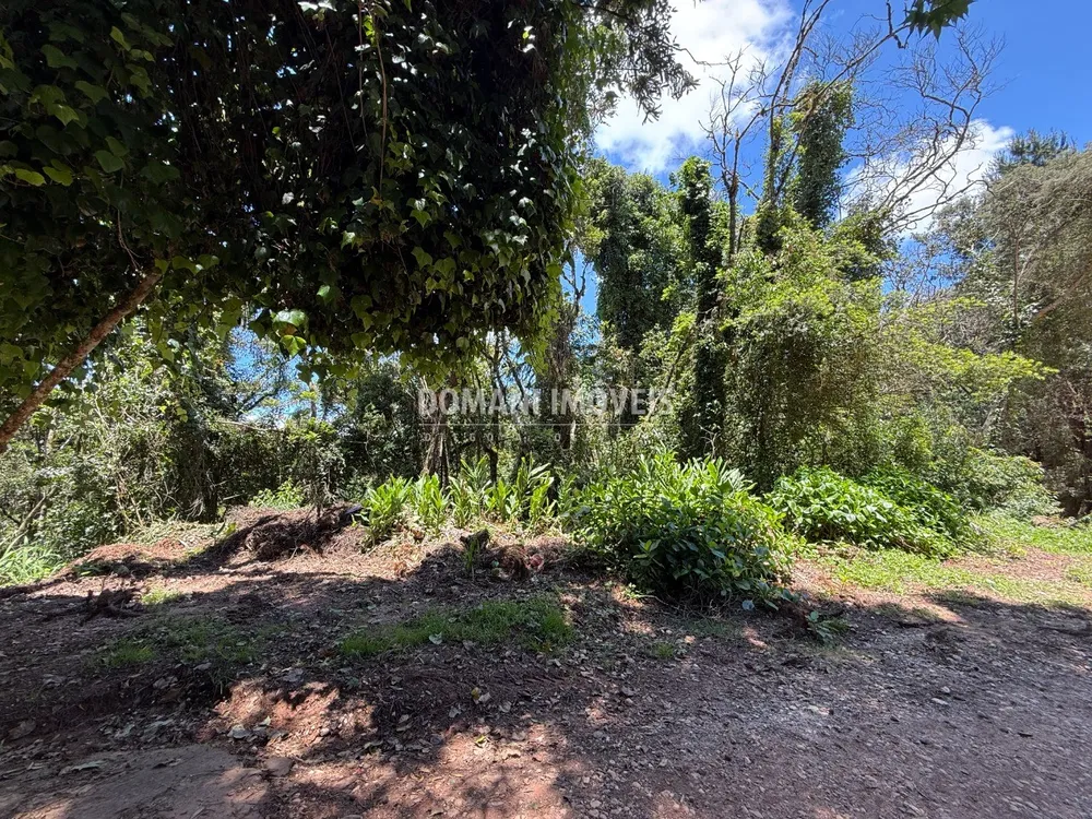 Terreno, 1095 m² - Foto 3