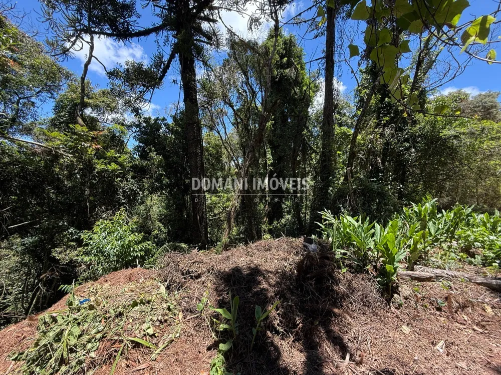 Terreno, 1095 m² - Foto 7