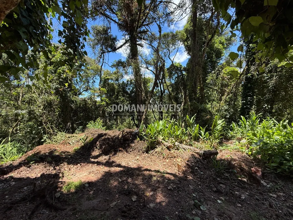 Terreno, 1095 m² - Foto 5