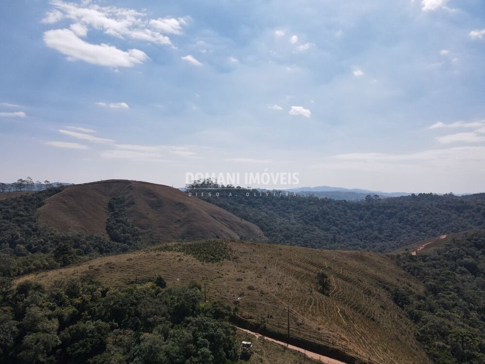 Terreno, 6 hectares - Foto 4