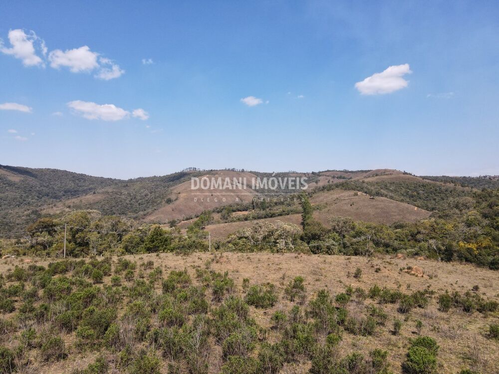 Terreno, 6 hectares - Foto 6