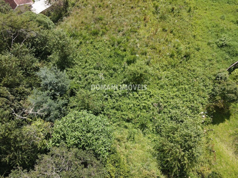 Terreno, 1350 m² - Foto 2