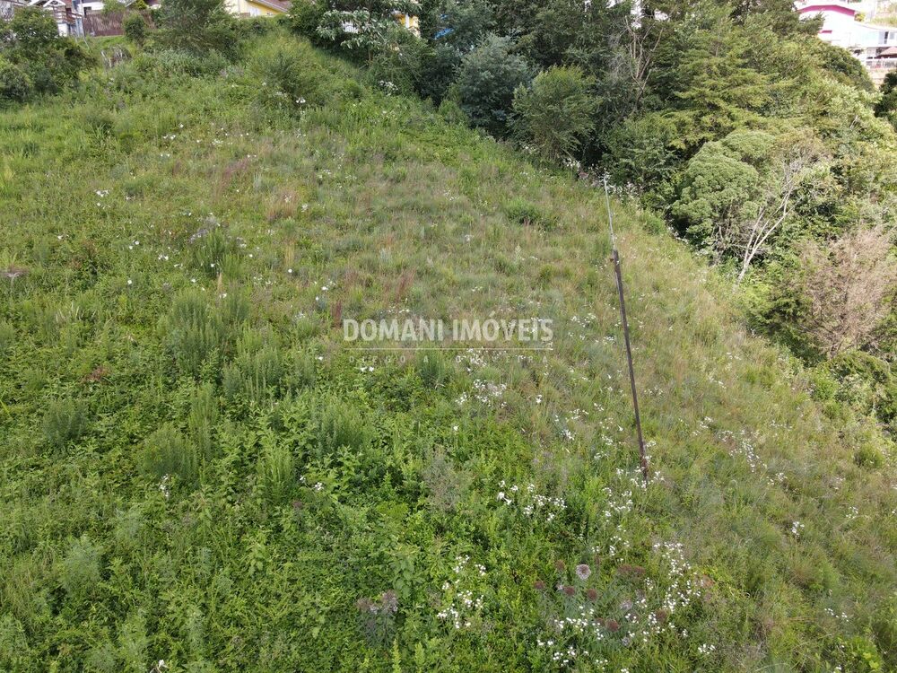 Terreno, 1350 m² - Foto 4