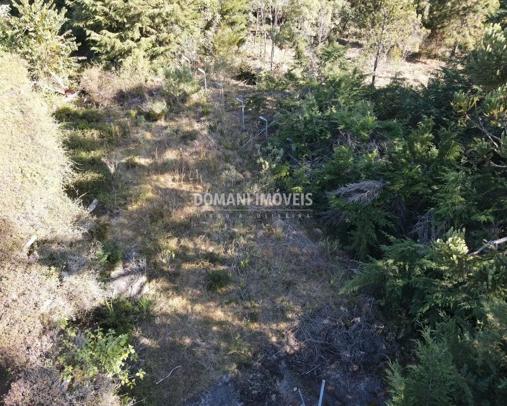 Terreno, 1450 m² - Foto 4