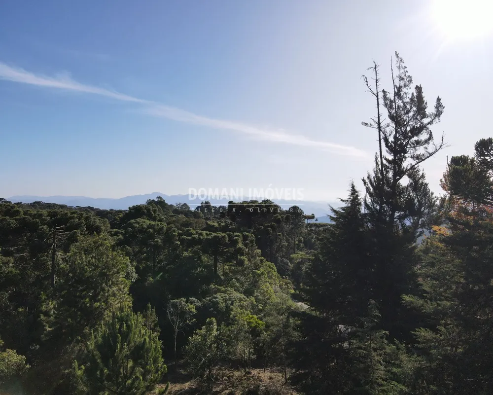 Terreno, 1450 m² - Foto 5