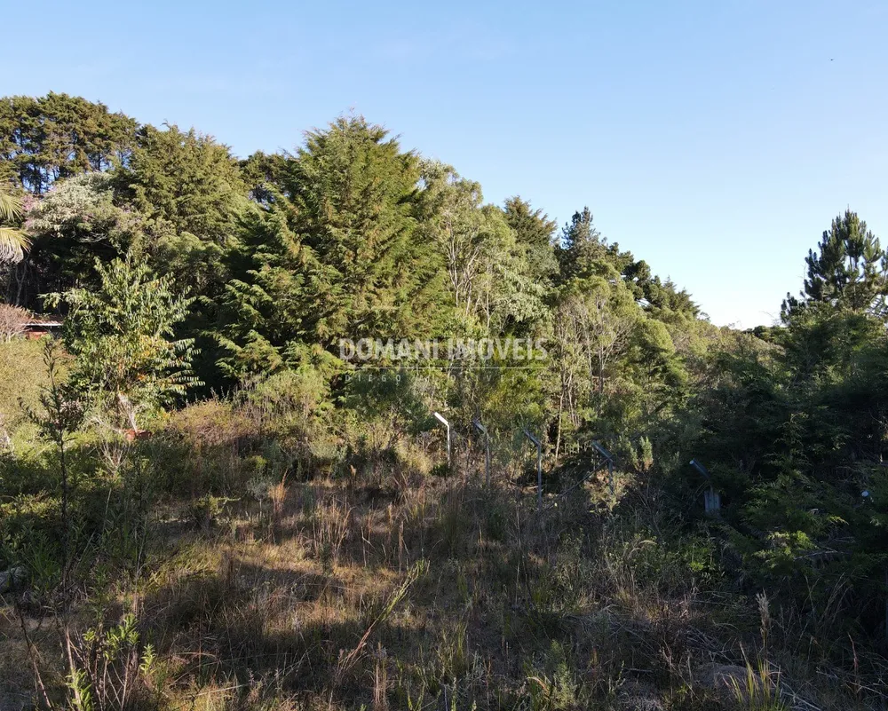Terreno, 1450 m² - Foto 2