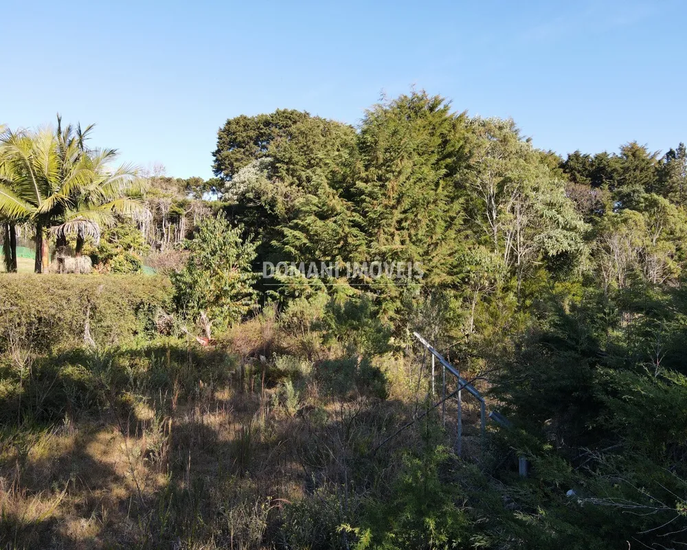 Terreno, 1450 m² - Foto 6