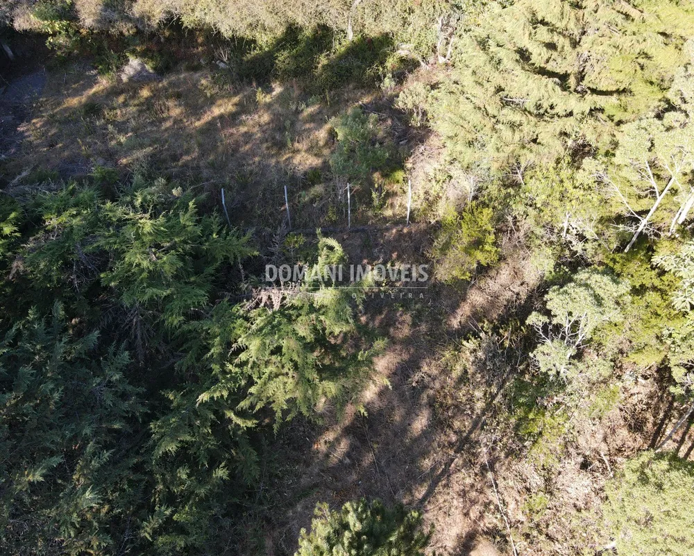 Terreno, 1450 m² - Foto 8