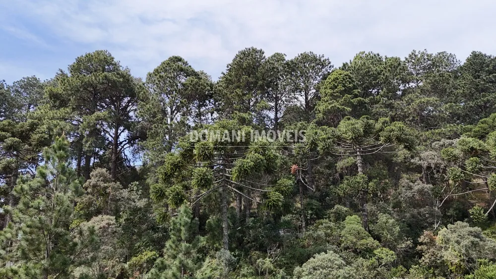 Terreno, 1060 m² - Foto 5