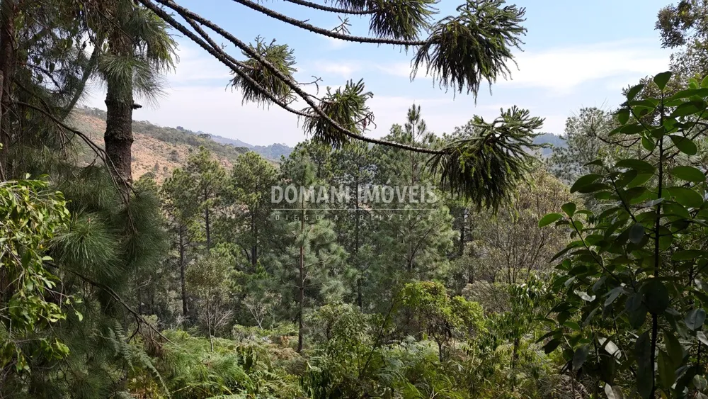 Terreno, 1060 m² - Foto 8