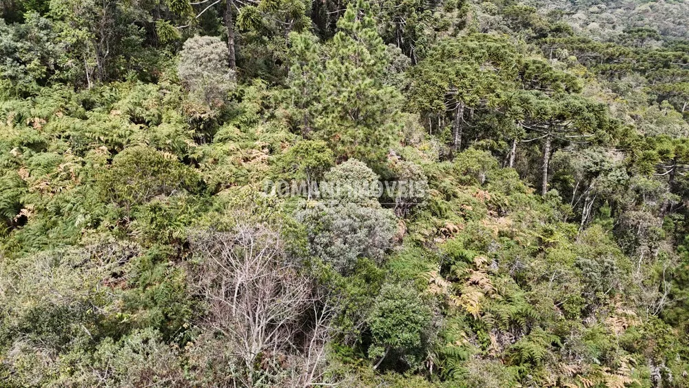 Terreno, 1060 m² - Foto 6