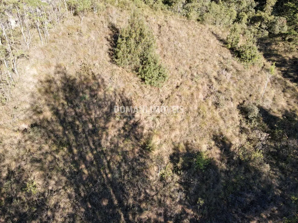 Terreno, 2910 m² - Foto 3