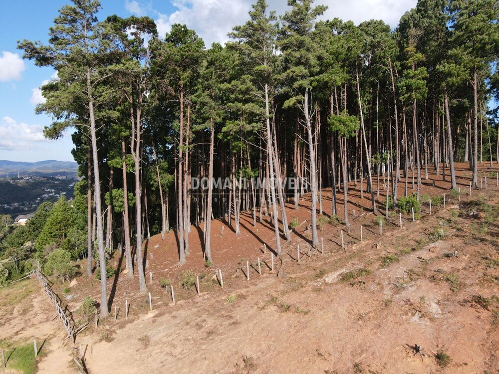 Terreno - Foto 4